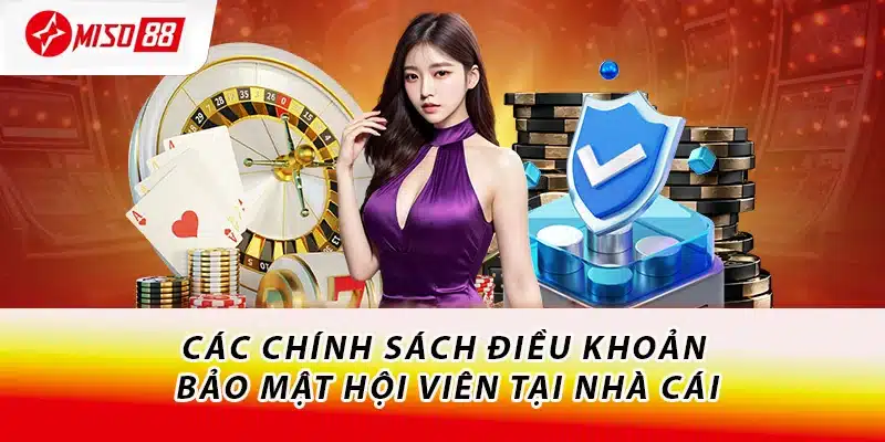 Các chính sách điều khoản bảo mật hội viên tại nhà cái