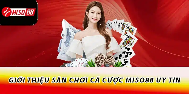 Giới thiệu sân chơi cá cược Miso88 uy tín