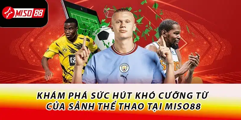 Khám phá sức hút khó cưỡng từ của sảnh thể thao tại Miso88