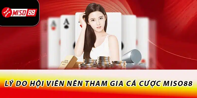 Lý do hội viên nên tham gia cá cược Miso88