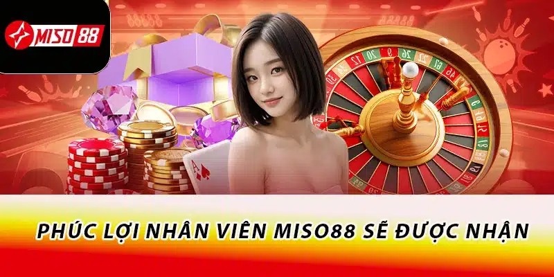 Phúc lợi nhân viên Miso88 sẽ được nhận
