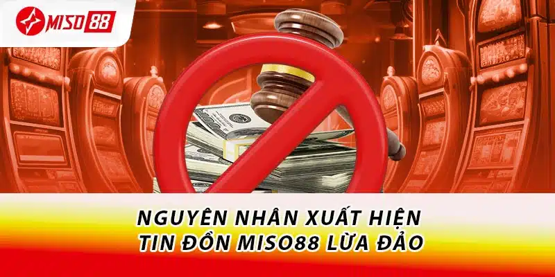 Nguyên nhân xuất hiện tin đồn Miso88 lừa đảo